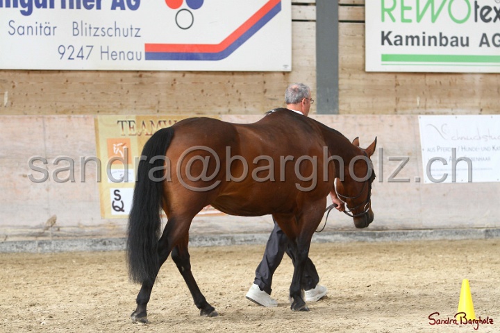 24-ApHC HIH_023.jpg
